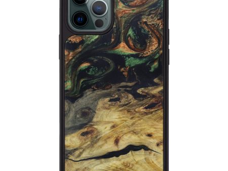 iPhone 12 Pro Max Wood+Resin Phone Case - Asia (Artist Pick, 612906) Online Hot Sale